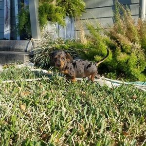 Meet your Posher, Gena